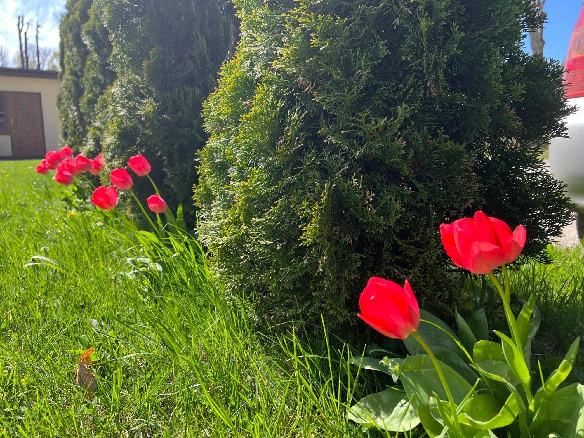 Osrodek Rodzinny "Pod Wydmami" Przy Plazy , Plac Zabaw , Rowery Sarbinowo Exteriör bild